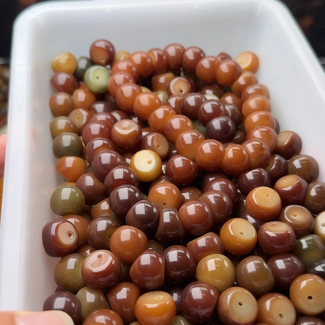 吊坠菩提根/象牙果50颗菲料追光蒜瓣14.5  厚切