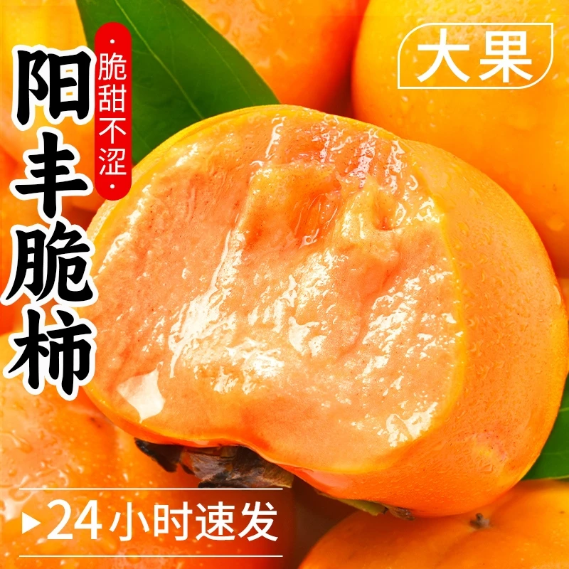 正宗山西阳丰脆柿巧克力脆柿子新鲜水果当季冰糖心黄甜整箱包邮
