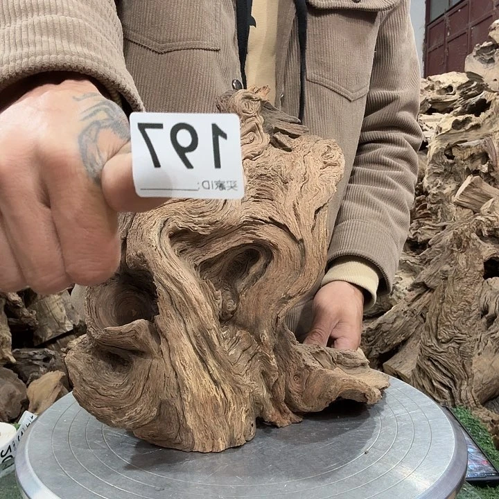 @*林紫砂啦啦啦啦啦啦