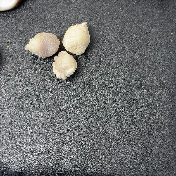 柏香籽/百香籽吊坠妖*