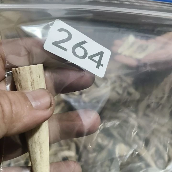东***~鹿角鹿角鹿角鹿角鹿角鹿角鹿角鹿角鹿角