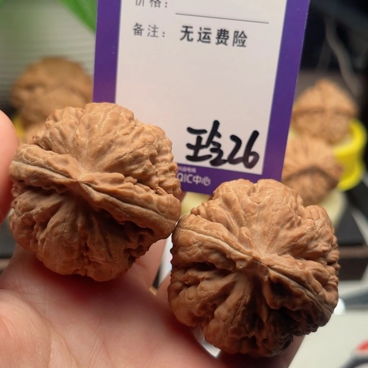 吊坠文玩核桃绵**学文玩核桃26