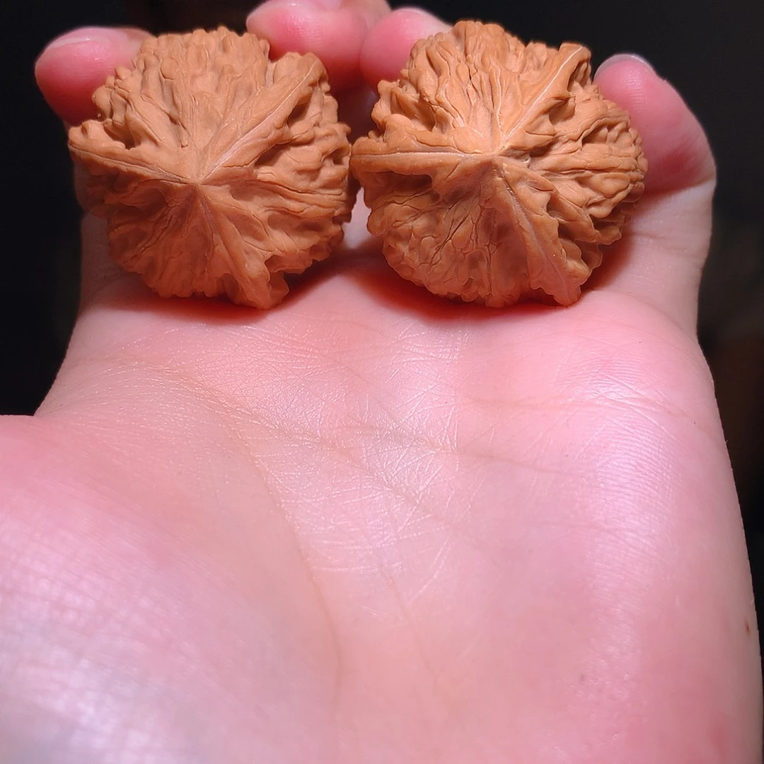 文玩核桃吊坠豆***豆36尺御龙三棱豆豆