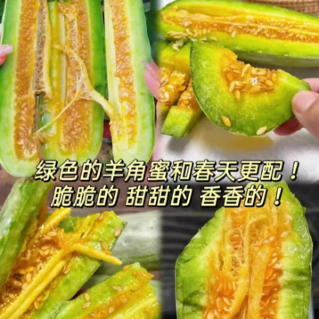 脆甜羊角蜜甜瓜两斤