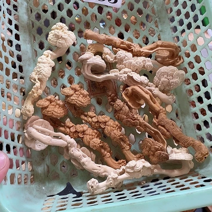 云***处木493 直播一物一拍