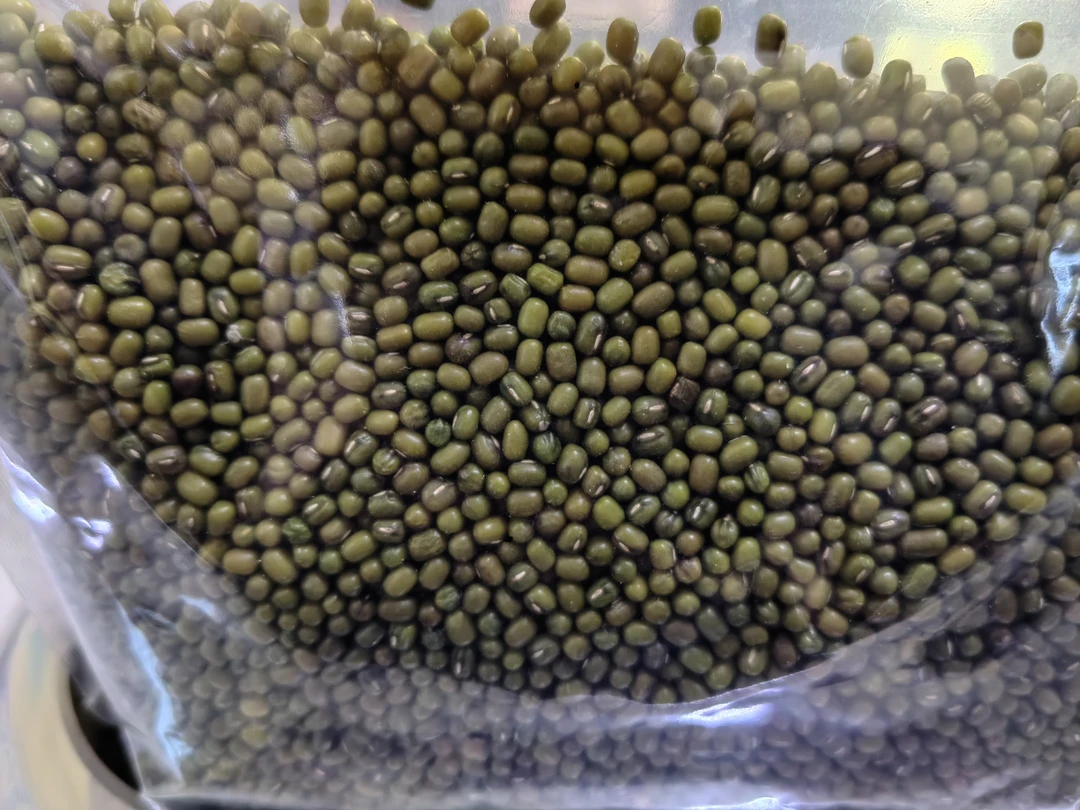 农家新鲜绿豆皮薄易煮适合熬粥汤做绿豆沙饼