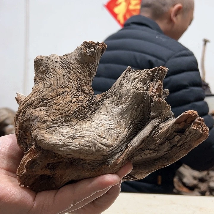 柏木你**子我们的生活是以自己