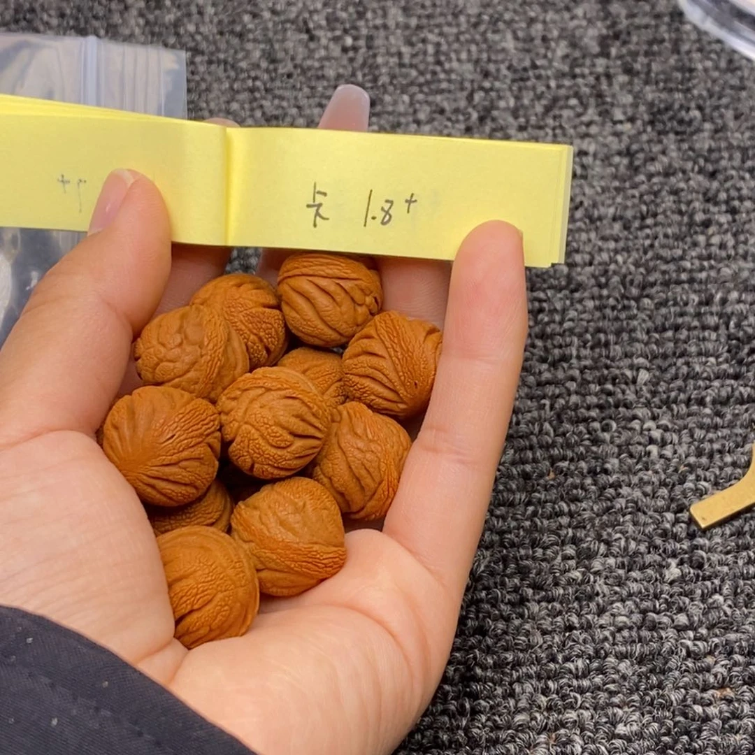 秦岭山脉龙纹桃核 单圈14