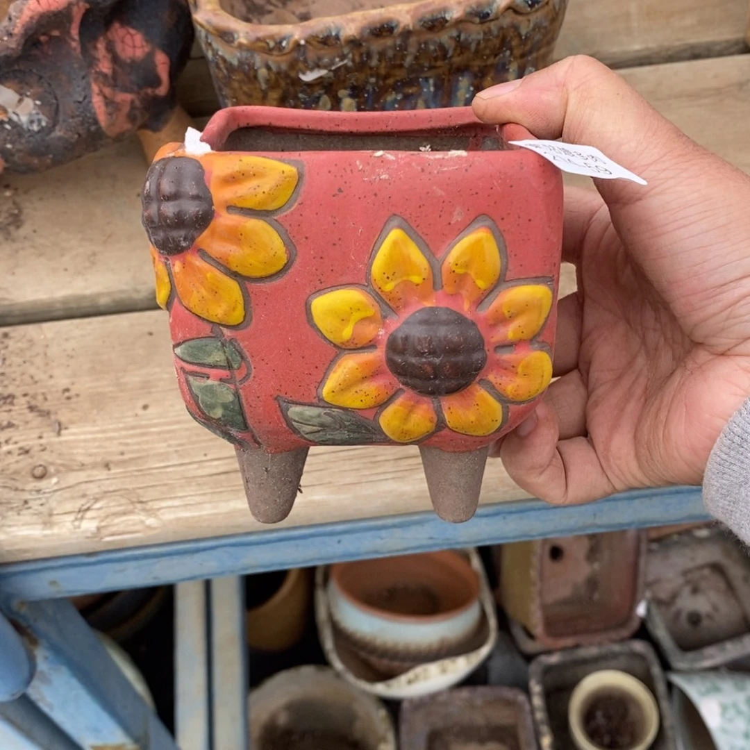 红陶潇*59号多肉盆一个呀