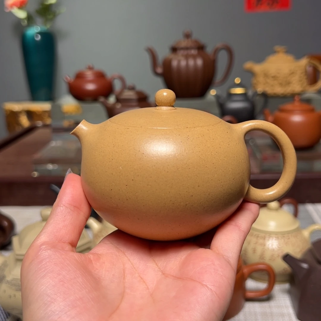 茶壶紫砂飘**飒掌上明珠西施