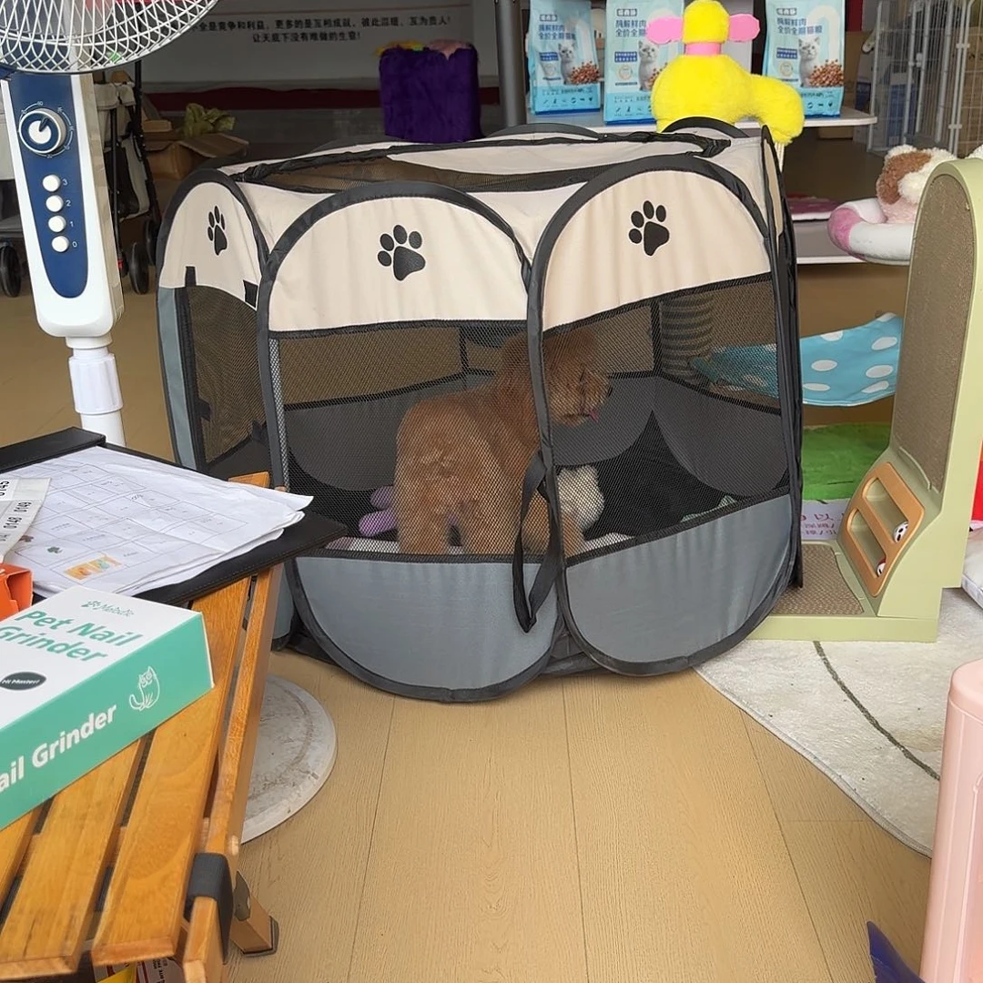 八角笼灰色哈哈哈哈