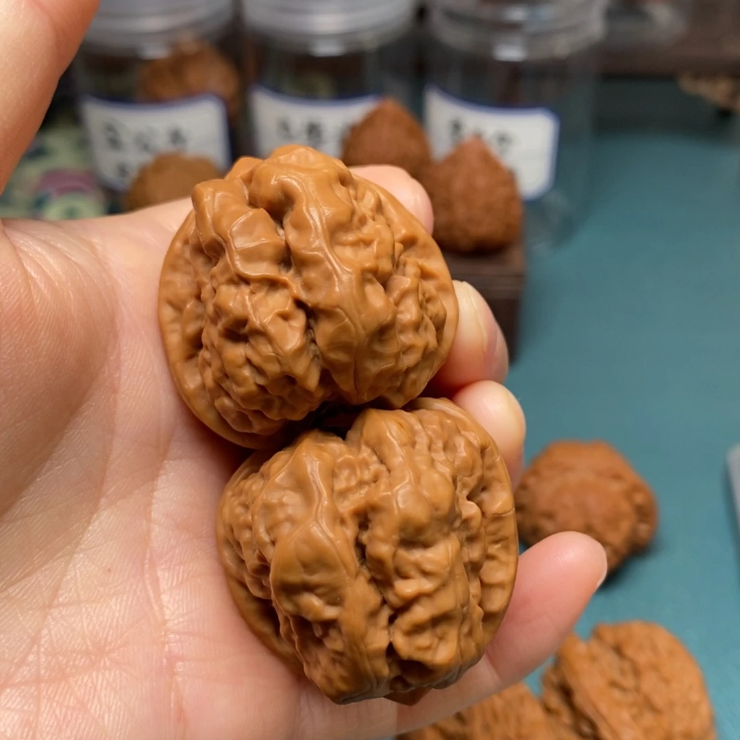 核桃43尺蛤蟆头修