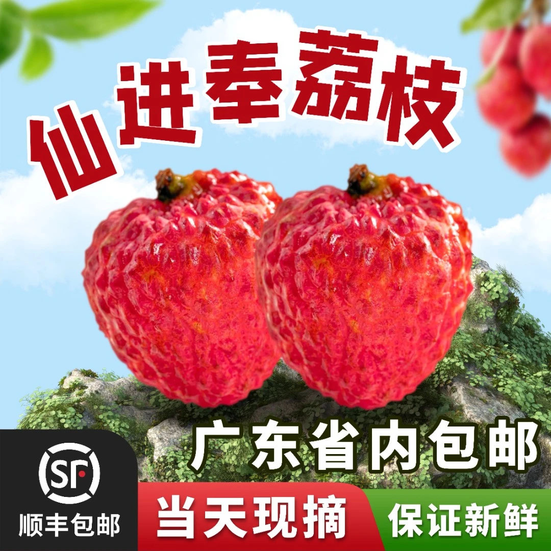 仙进奉荔枝【中果】【广东省内专拍】3/5/10斤增城荔枝原产地现摘现发