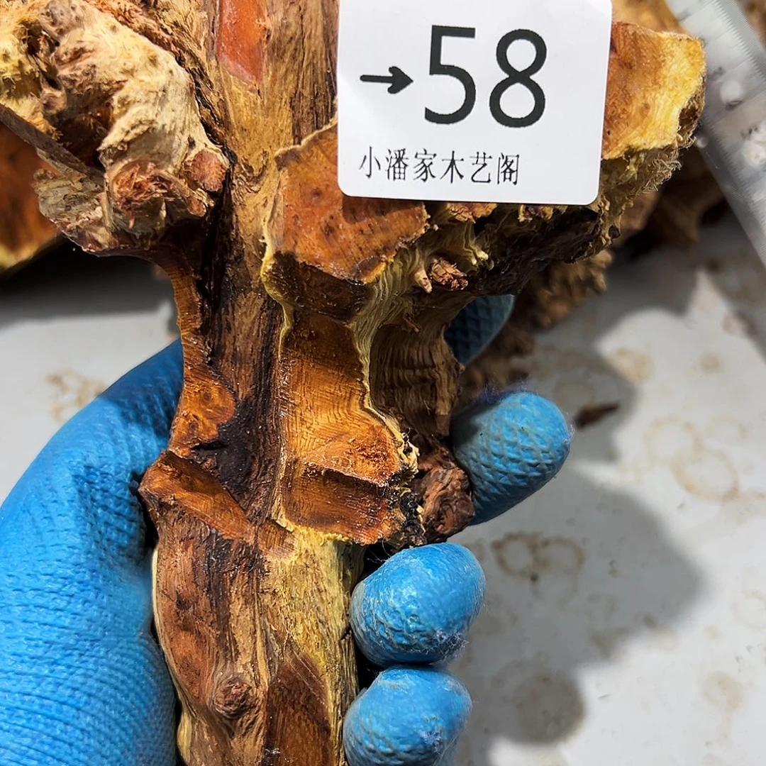夏***天火琉璃……火琉。火琉璃