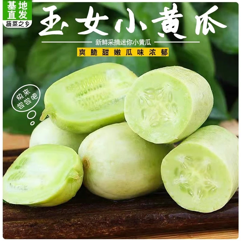 新鲜玉女黄瓜水果小黄瓜生吃拇指旱白玉青瓜新鲜脆嫩健康蔬菜