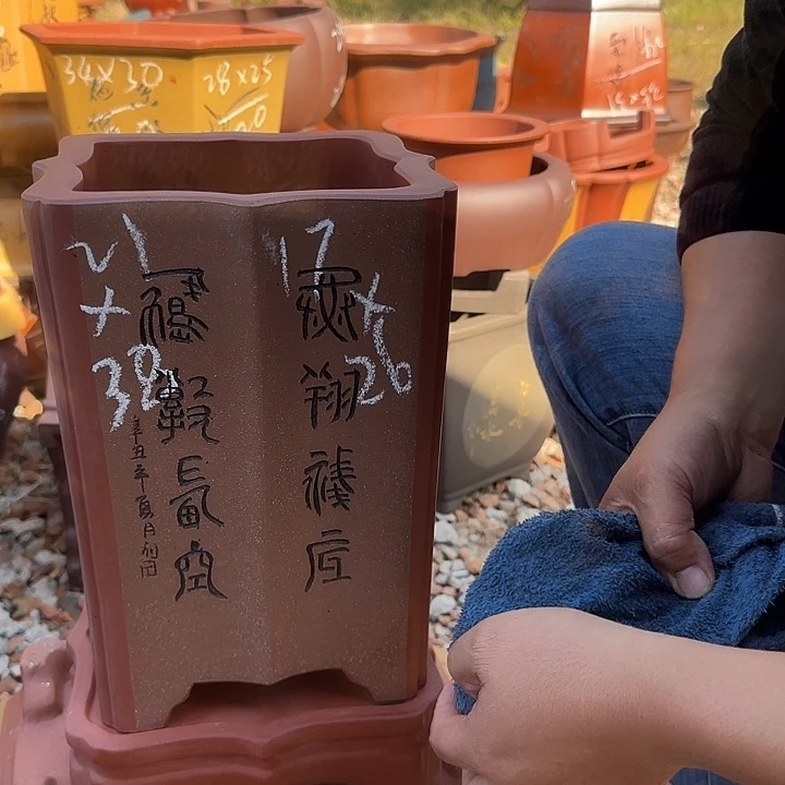 紫砂花盆紫砂花盆