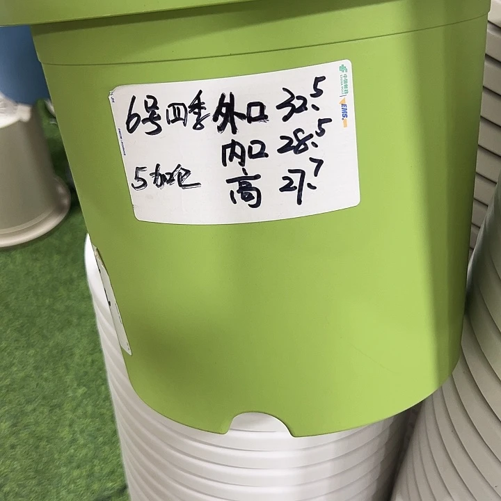 特价6号四季盆口32高28混色无托5只