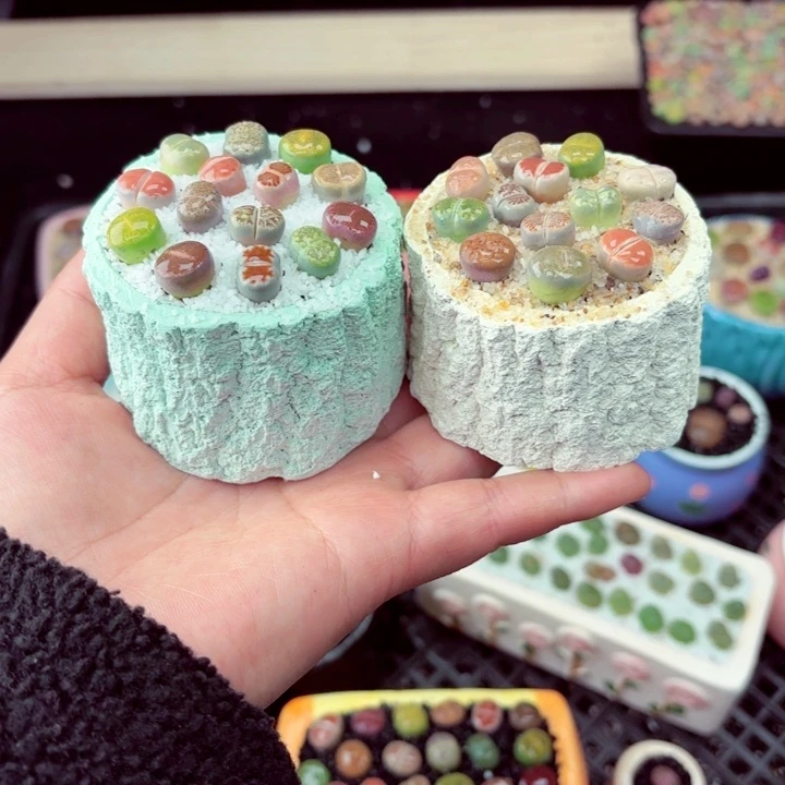 844零下地区记得拍保温箱满18包邮