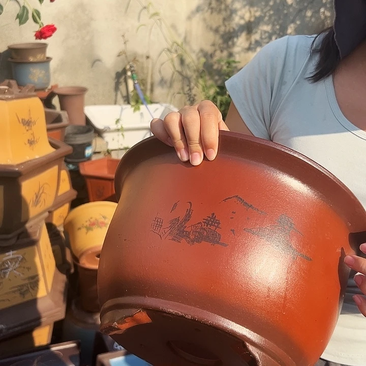 30紫气东来花盆花盆花盆