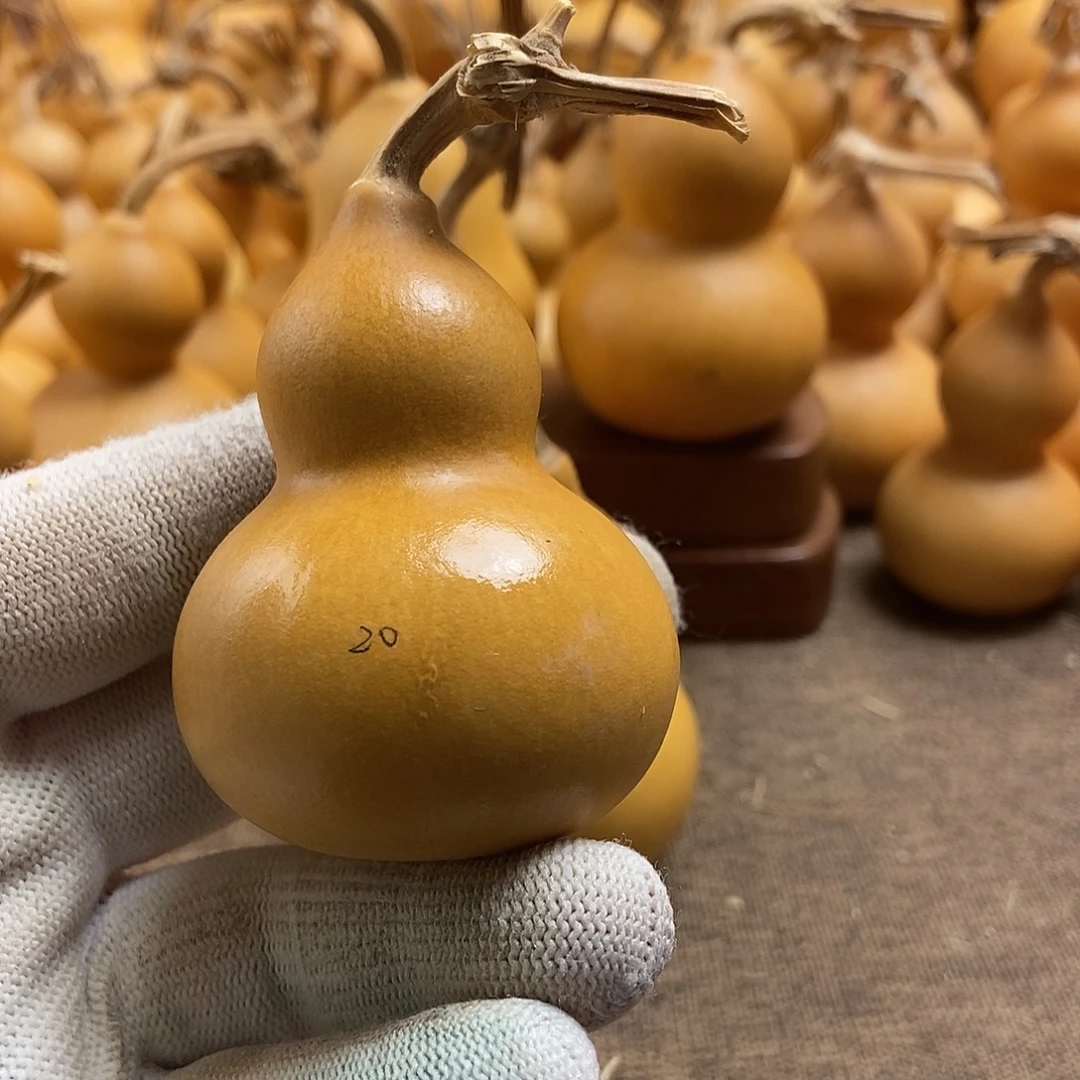 文玩葫芦 完美主义者 慎拍20