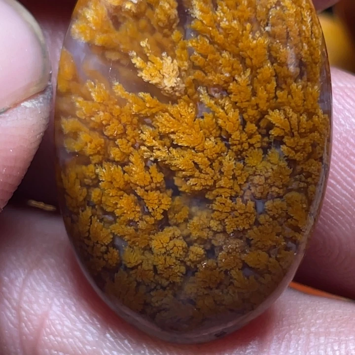 玛瑙/玉髓颈饰未镶嵌斯****特