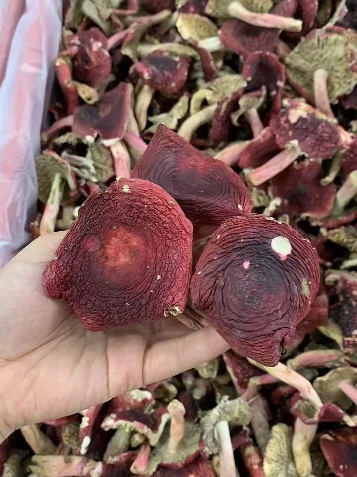（小阿姨推荐）云南开菇