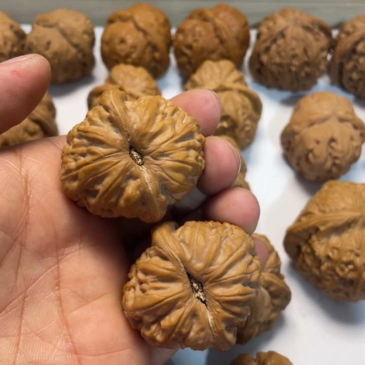 浪***子大叶紫檀（黑酸枝木类）