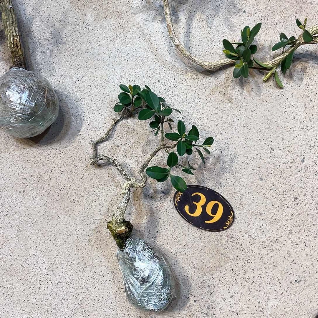 红陶谦**取一起为梦想而加油啊我们