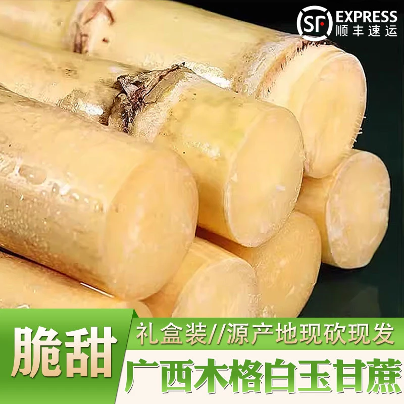 礼盒装l广西木格白玉甘蔗当季农家自种水果甘蔗汁水多源产地直发