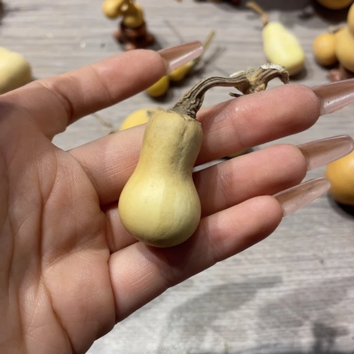 自*葫芦葫芦葫芦葫芦