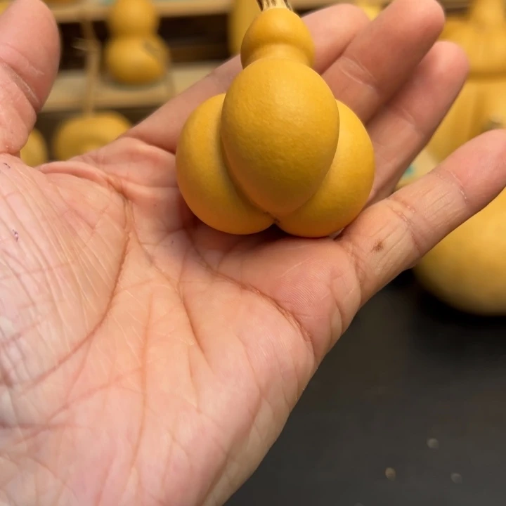 高*葫芦葫芦葫芦葫芦葫芦葫芦