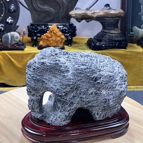 石材福利活动地址多少