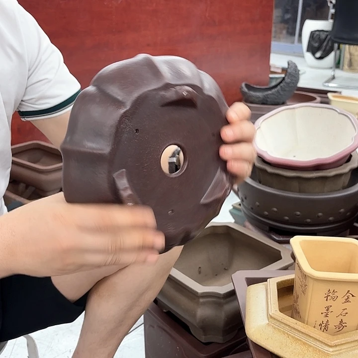 紫砂花盆紫砂的颜色很好看呀