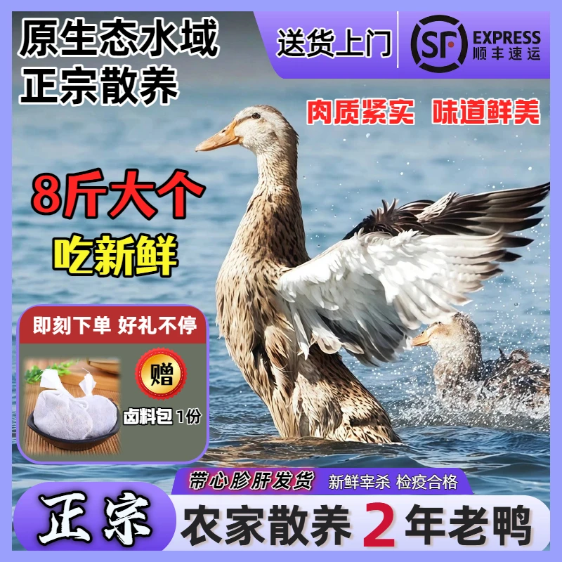 原生态散养2年以上正宗农家散养老鸭顺丰新鲜宰杀土鸭整只带内脏