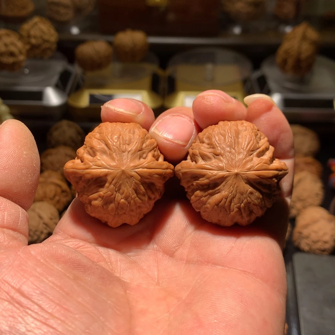 38+铁锤妹妹一物一图