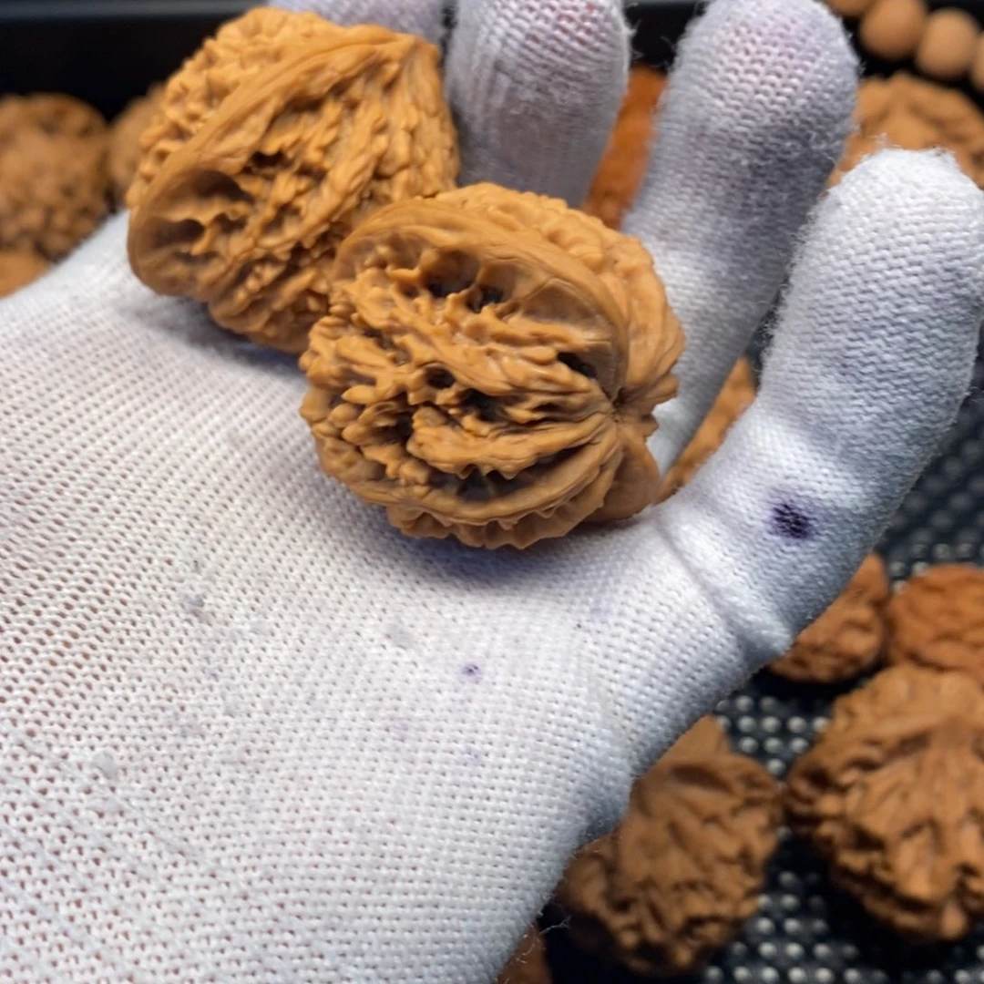 刘***面秦岭森林公园等旅游