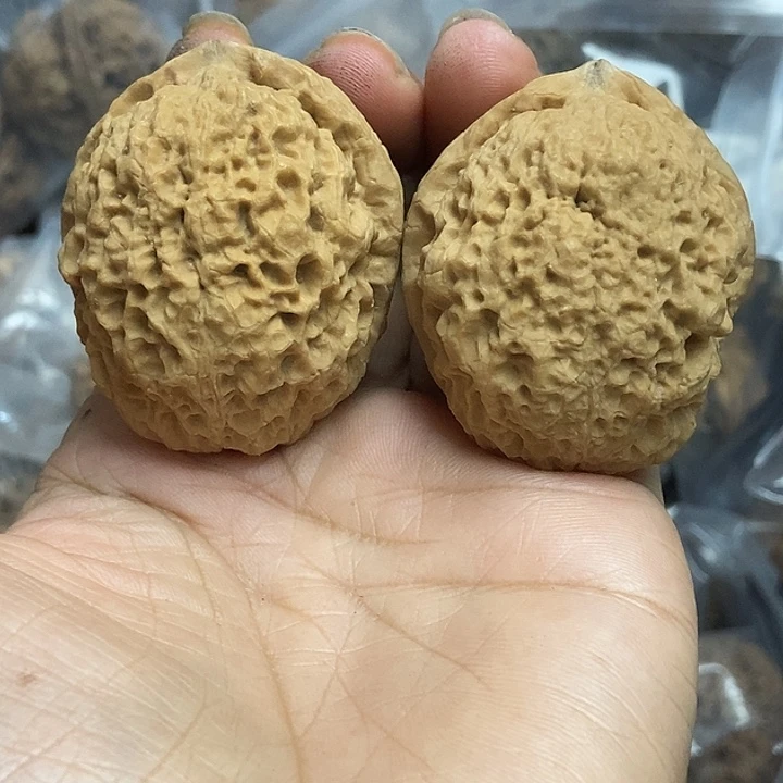 文玩核桃把件云南铁核桃基地75