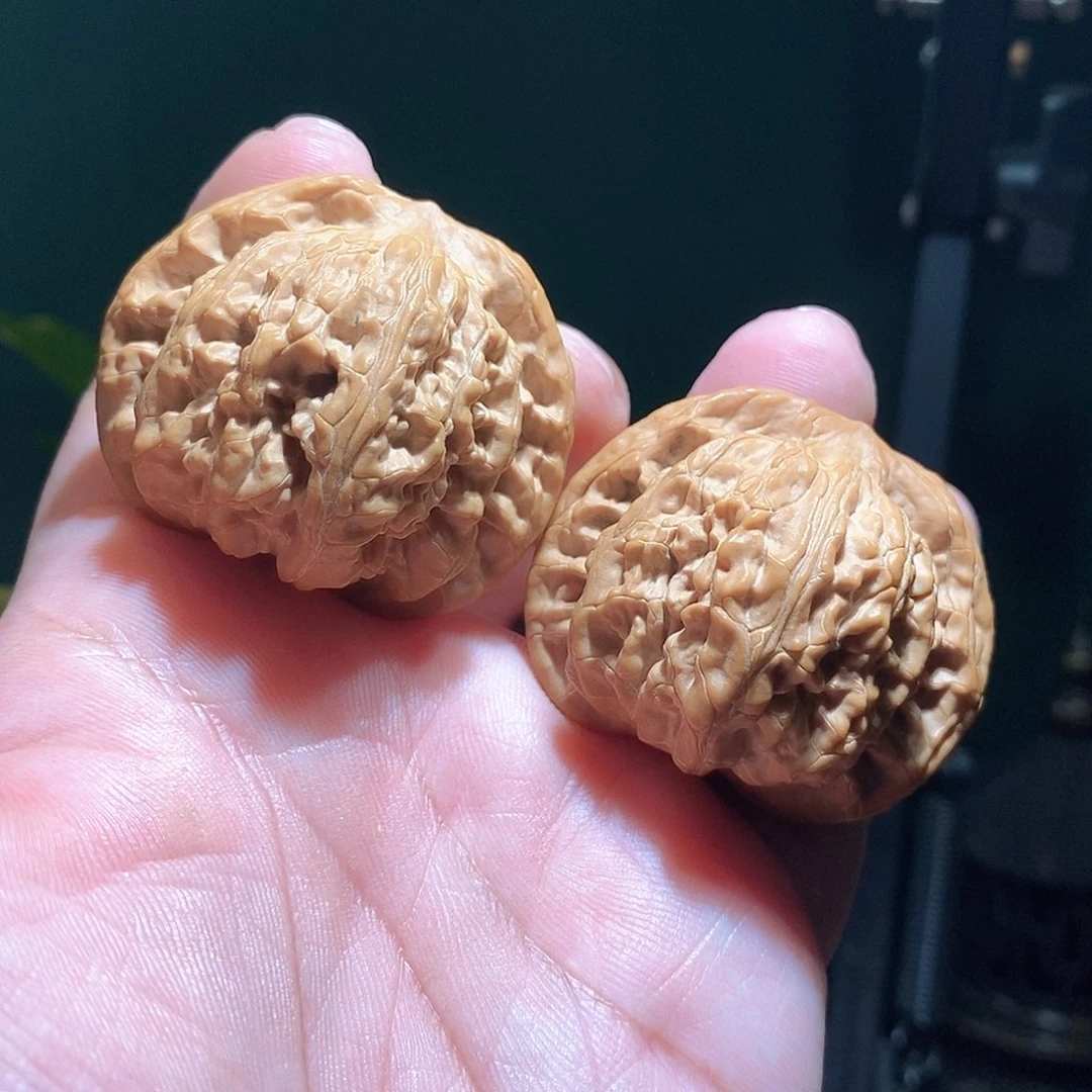 把件文玩核桃44武狮子全品