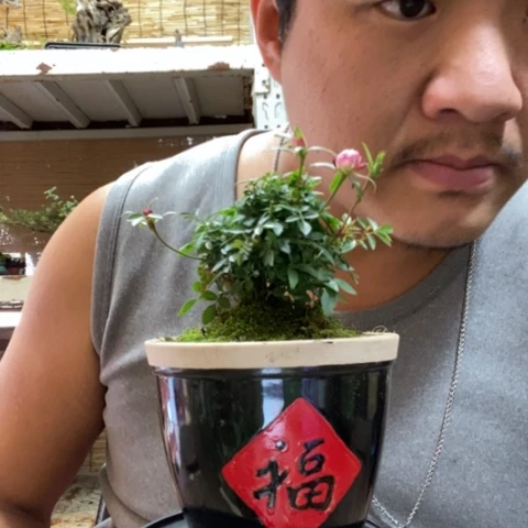 红陶石**逛一物一拍所见即所得26