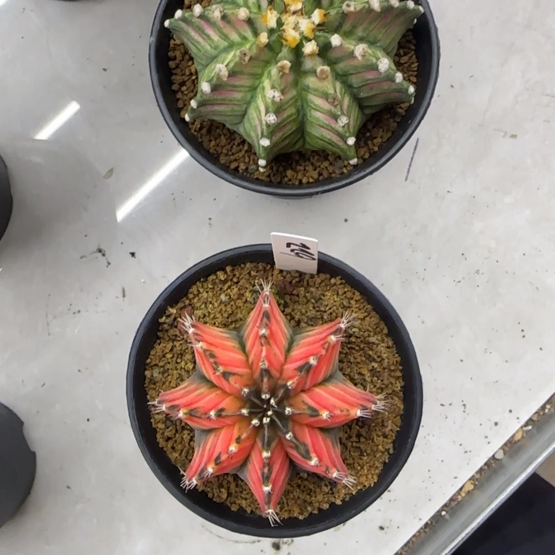 ！111111111111111111