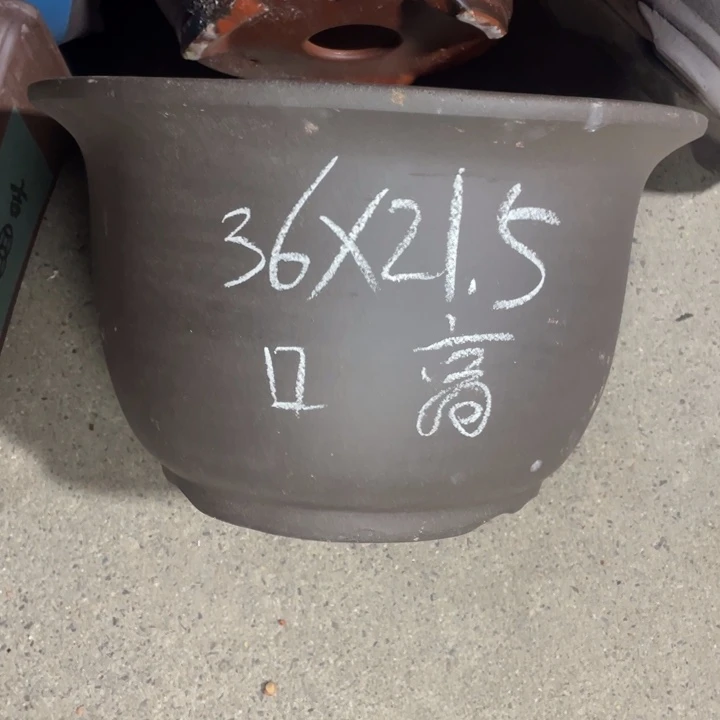 周深周深周深周深周深