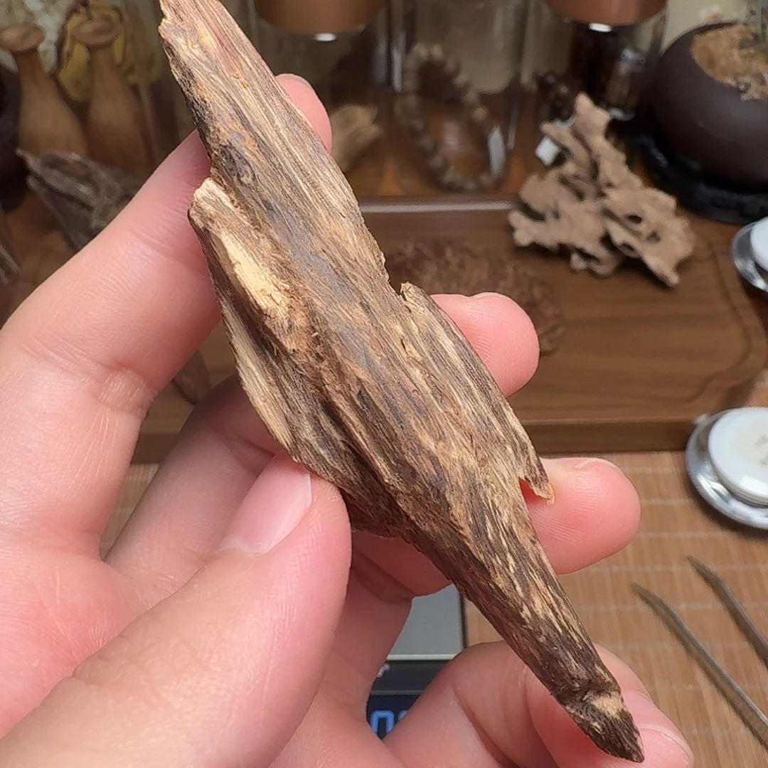 沉香老挝树心虫漏瓜子