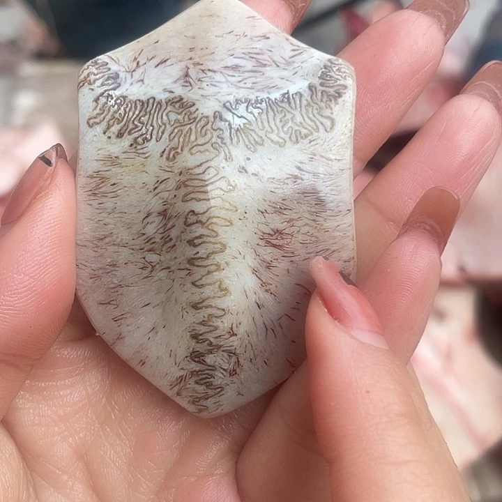 养殖鹿骨三界牌子