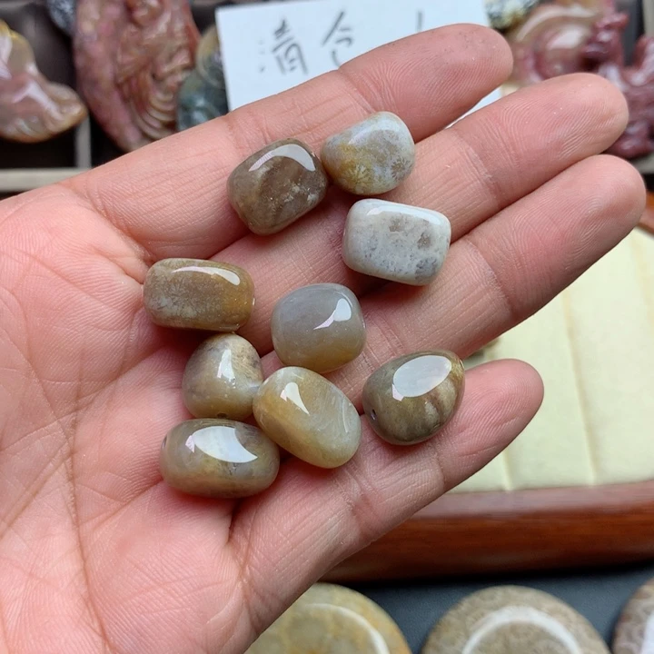 硅化珊瑚（珊瑚玉）颈饰未镶嵌