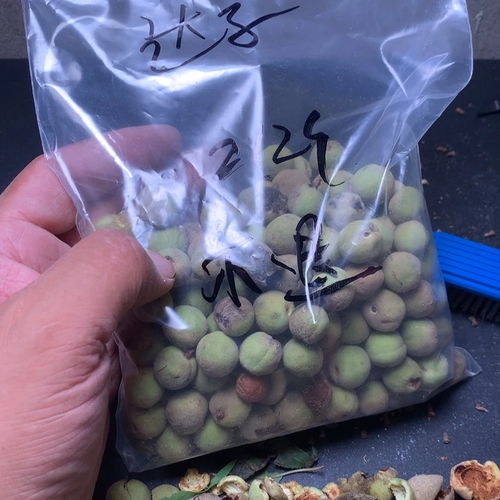 达***子文玩核桃吊坠野生精品小桃核散籽