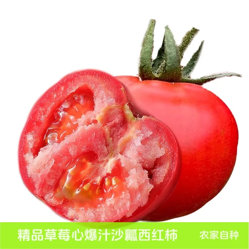 顺丰包邮｜普罗旺斯水果西红柿蕃茄产地直发农家自种新鲜采摘番茄