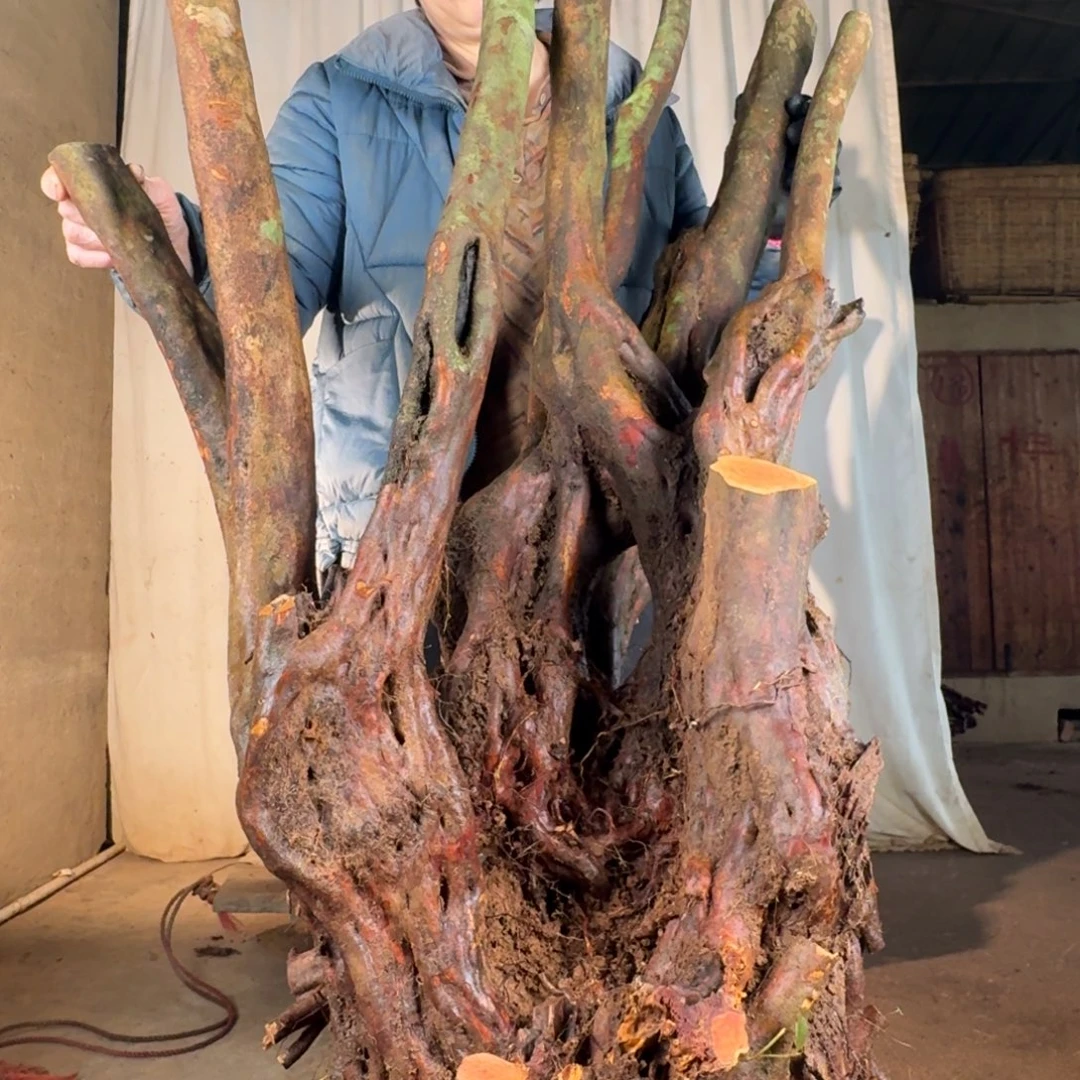 否***来888888888888888888