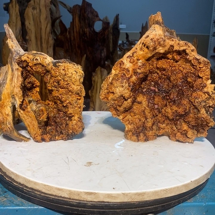 用****1我们都是你的粉丝21