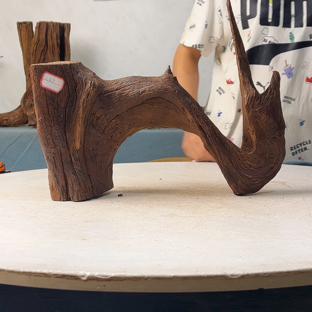 沉木造景寄居蟹景