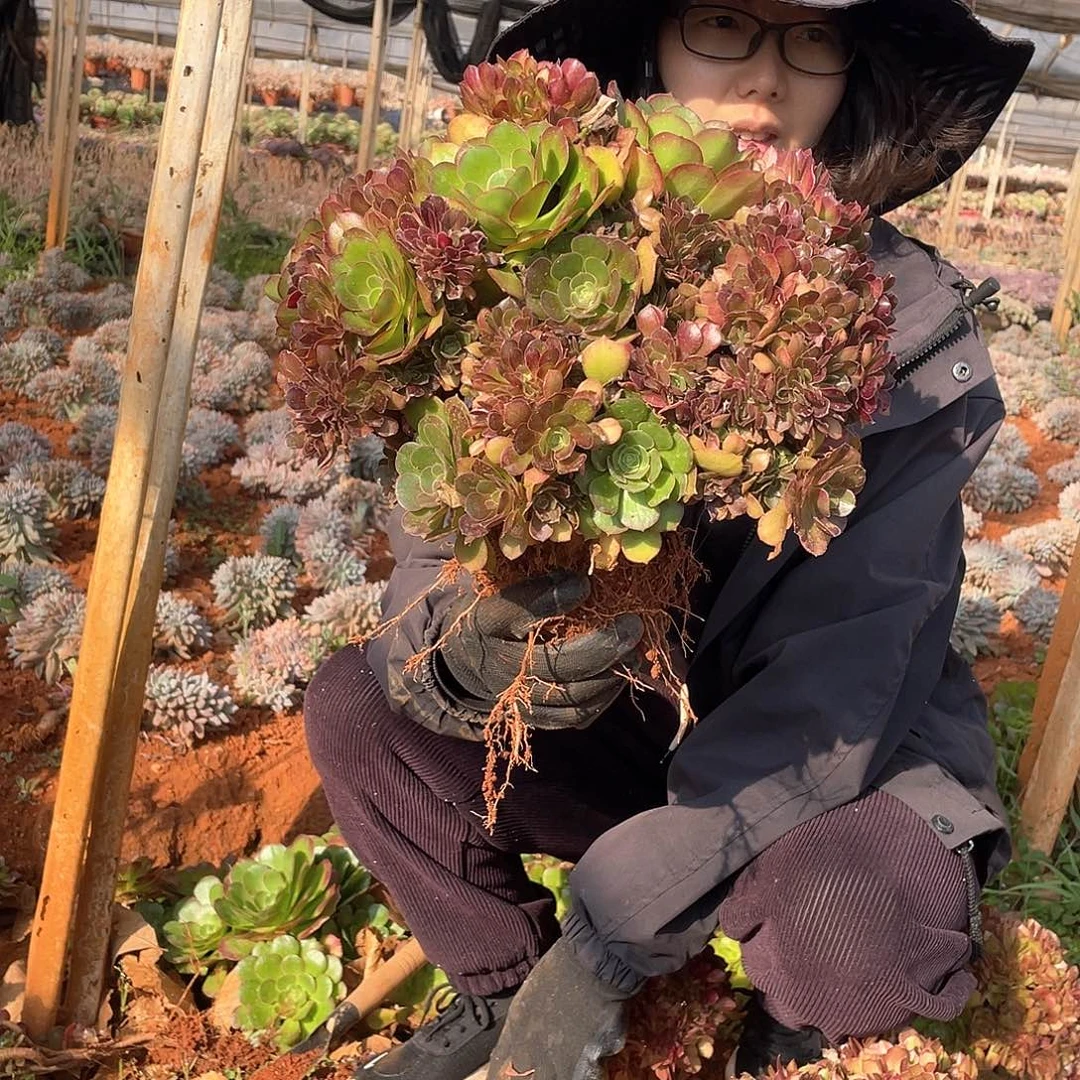 可****01法师缀化 一物一拍